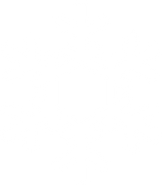 Topbar icon
