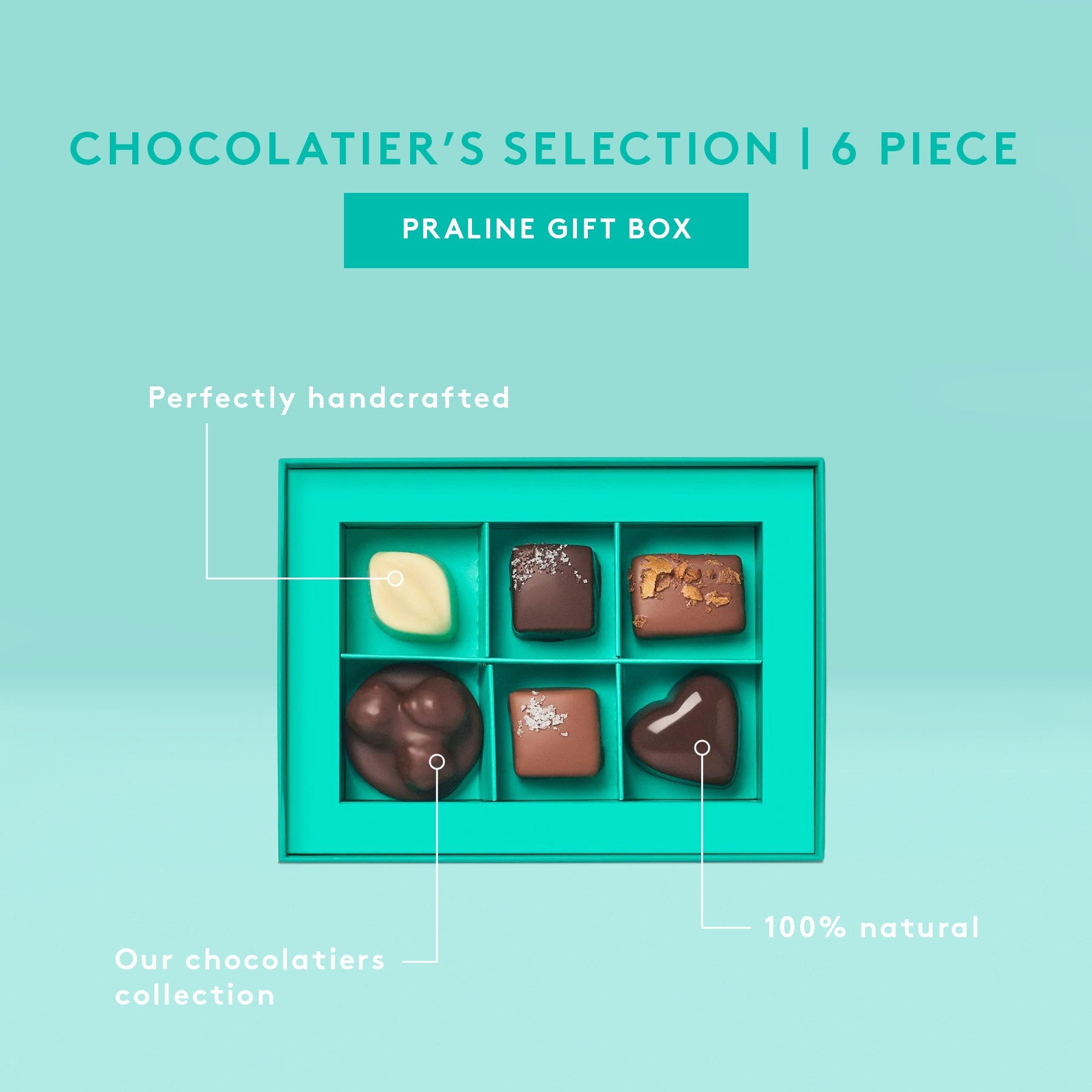 Chocolatier's Selection Praline Gift Box | 6 Piece